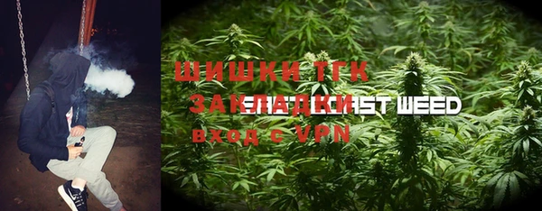 хмурый Алексеевка