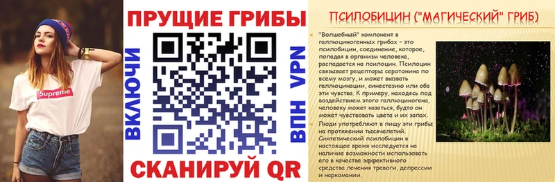Псилоцибиновые грибы Magic Shrooms  Купить  Аргун 