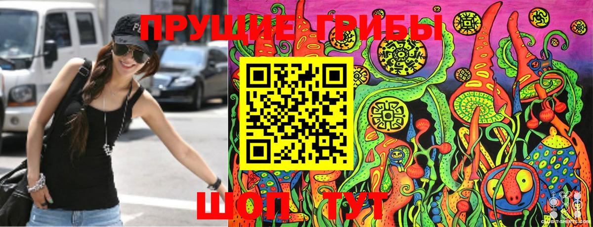 Псилоцибиновые грибы MAGIC MUSHROOMS  купить наркоту  Аргун 