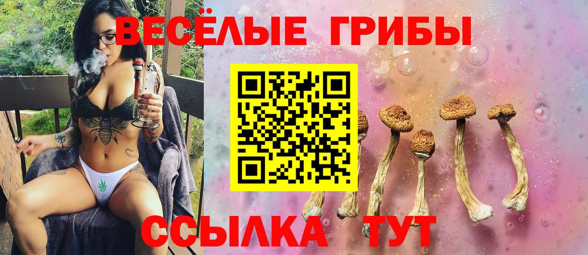 Аргун  Псилоцибиновые грибы GOLDEN TEACHER  Вход с VPN  Псилоцибиновые грибы Magic Shrooms 