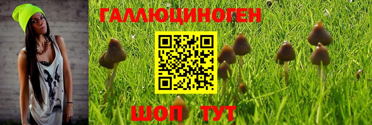 Псилоцибиновые грибы мицелий Аргун