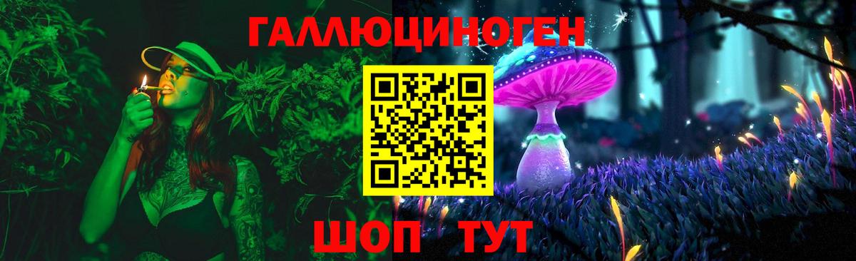 Псилоцибиновые грибы Cubensis Аргун